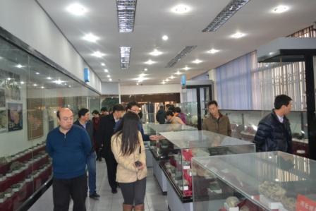 与会老师参观老太阳集团tcy8722地质博物馆.JPG 与会老师参观老太阳集团tcy8722地质博物馆.JPG